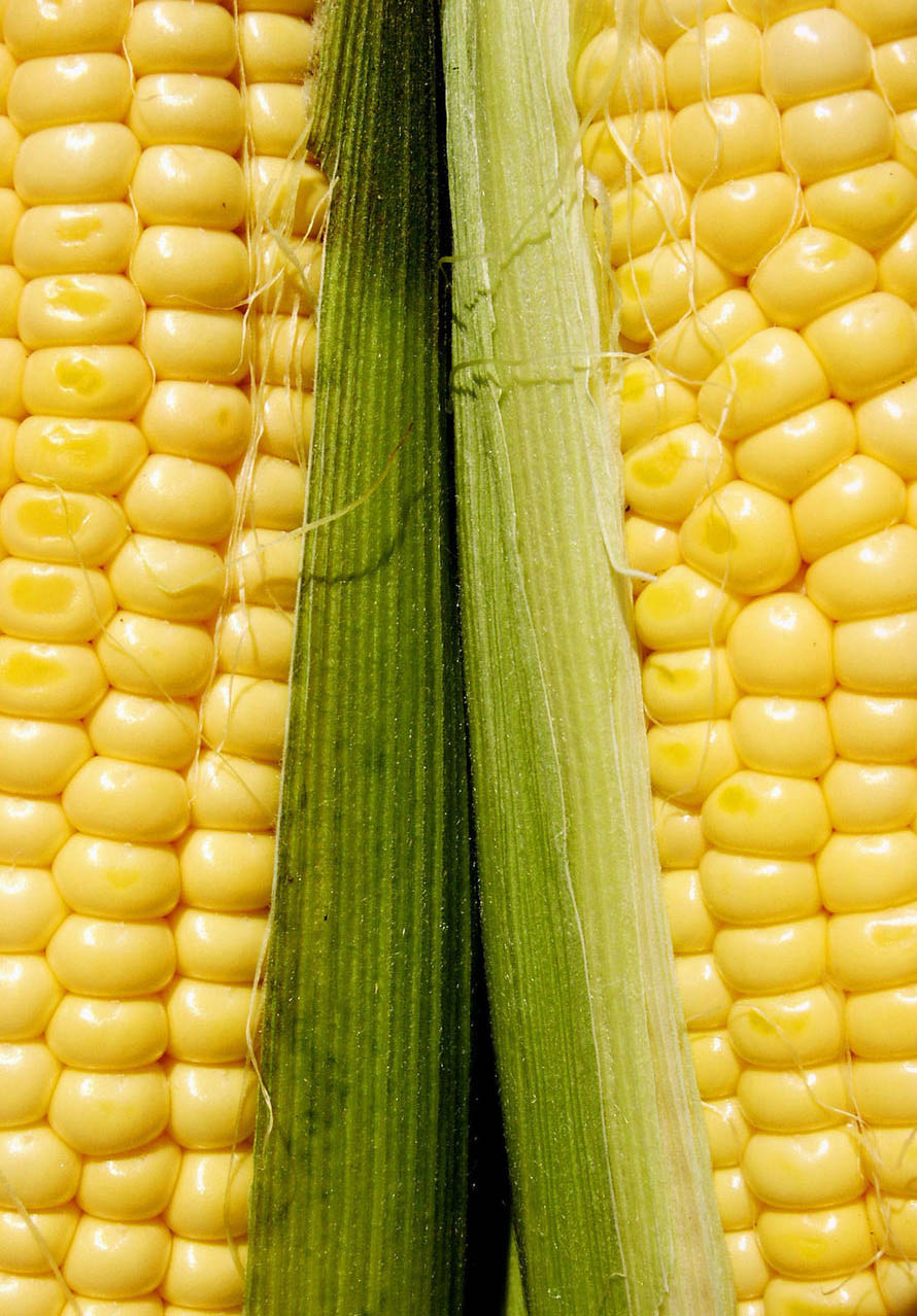 How To Cook Corn In The Husk: Microwave, Grill, Bake, Boil – Melanie Cooks